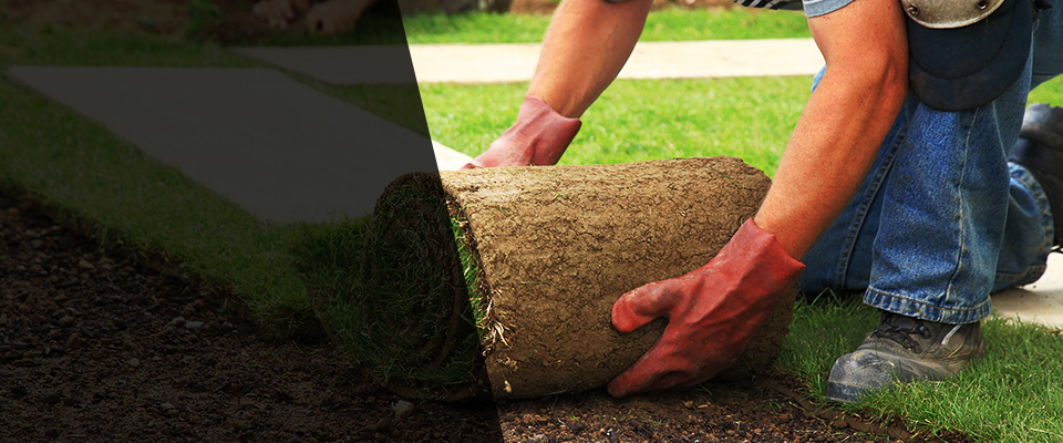 Holland Patent Landscapers